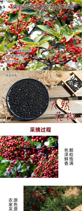 花椒籽详情