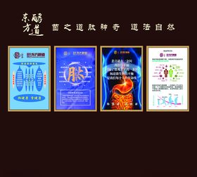 精美海报设计展示