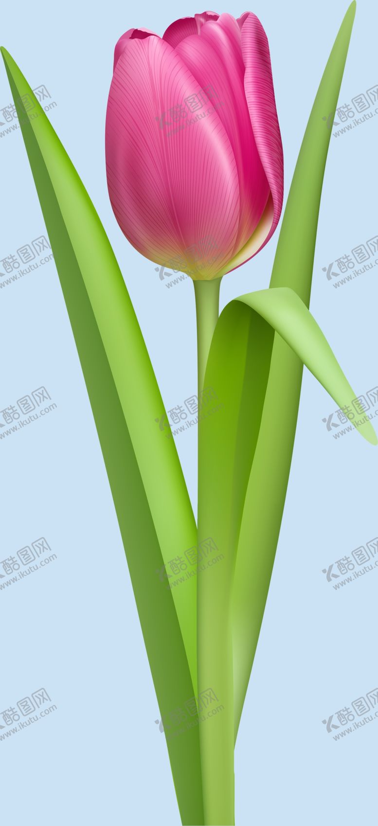 编号：01634809232013374061【酷图网】源文件下载-鲜花
