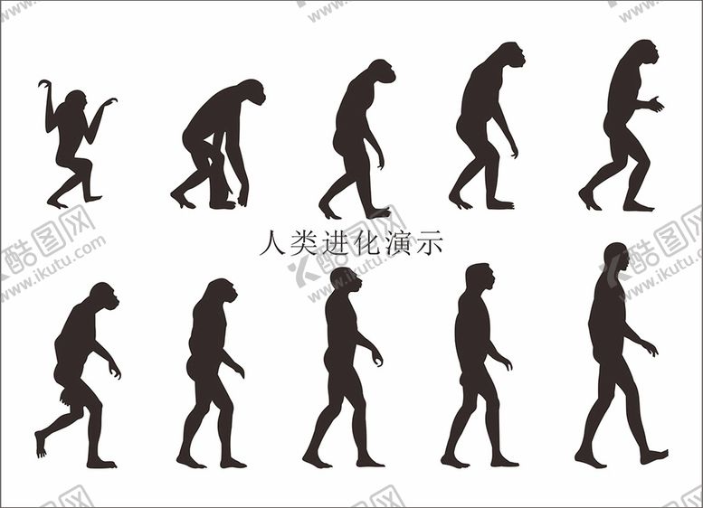 编号：18261910201057355258【酷图网】源文件下载-人类进化演示