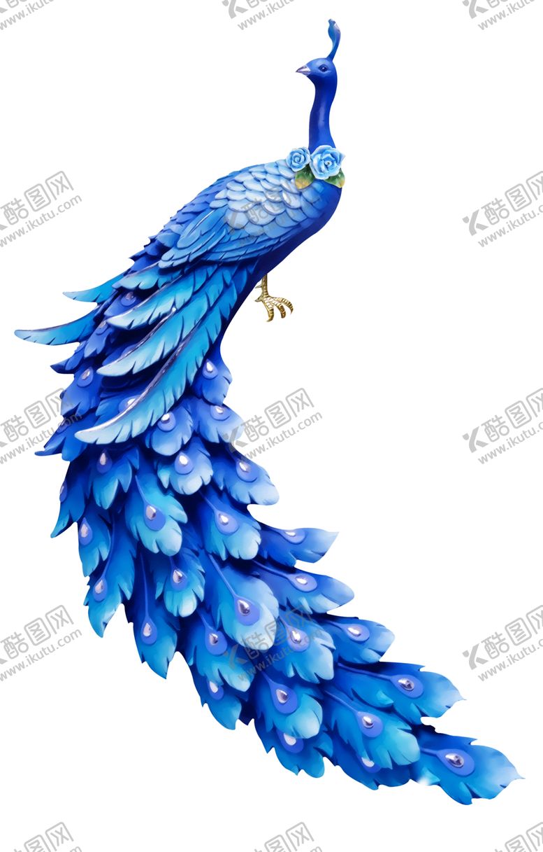 编号：74046107061042391570【酷图网】源文件下载-孔雀