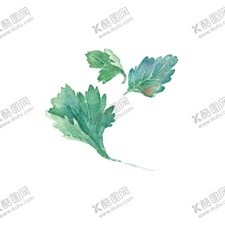 编号：24633007011902281108【酷图网】源文件下载-绿色植物