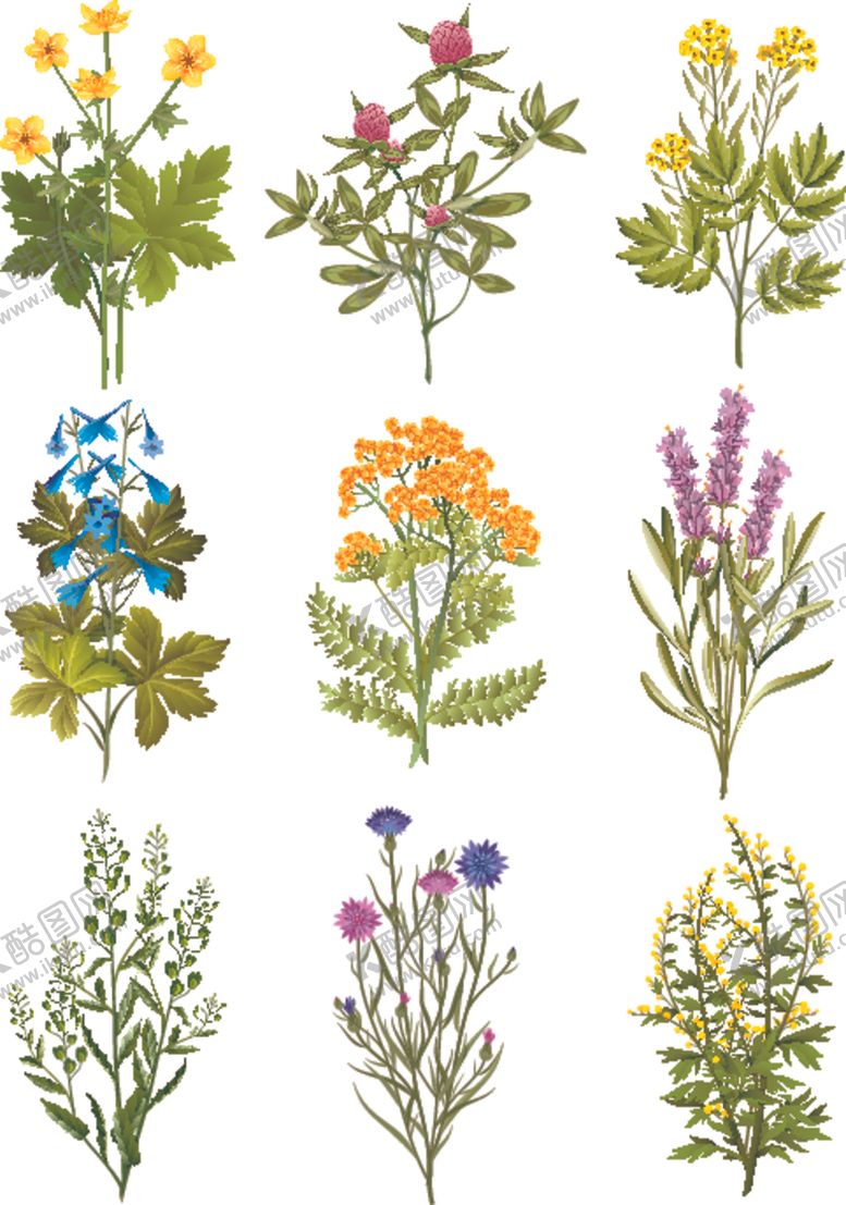 编号：18656803312224112360【酷图网】源文件下载-手绘花卉