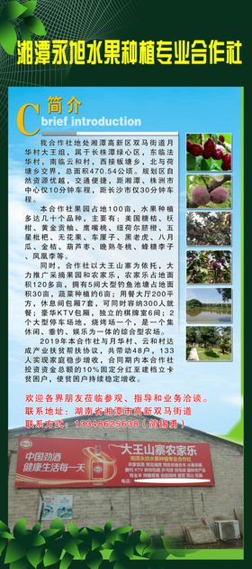 水果种植合作社