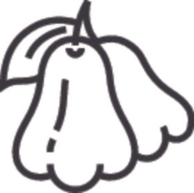 蒲桃