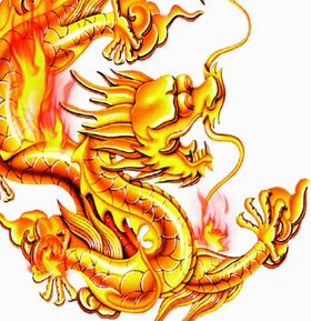 老虎