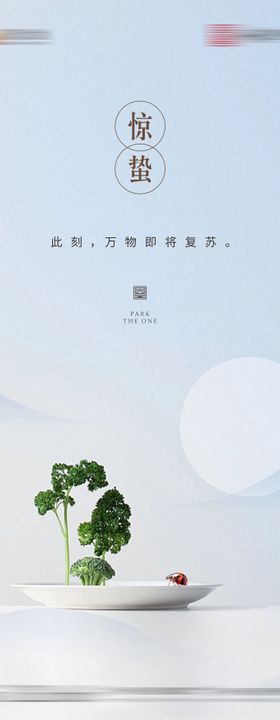 地产节气海报