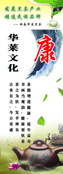 全民健养