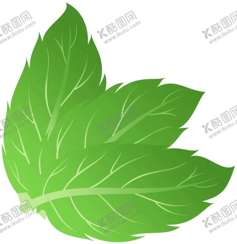 编号：11338706260550435616【酷图网】源文件下载-薄荷植物元素