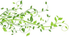 创意花