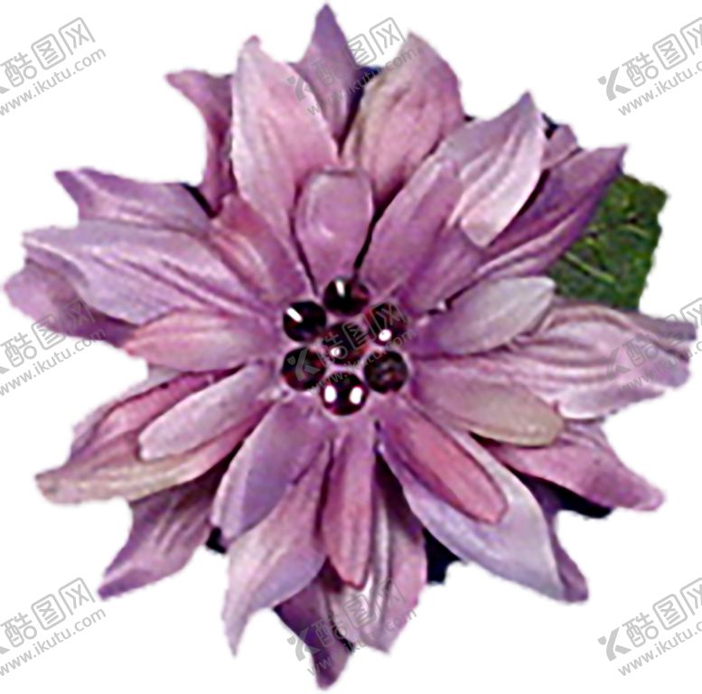 编号：37765205130619013103【酷图网】源文件下载-鲜花素材