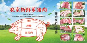 猪肉分割图