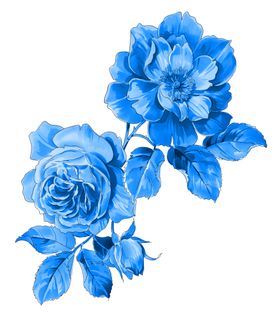 青花瓷素材