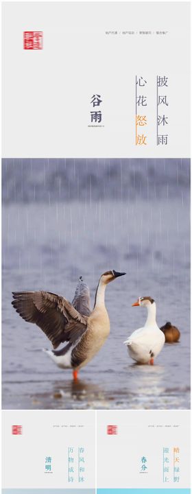 春分谷雨清明节气海报