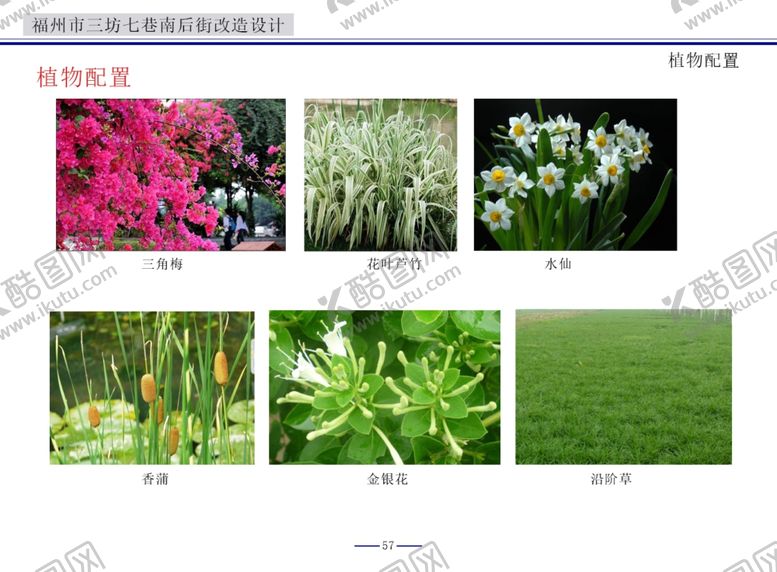 编号：39232905150054034484【酷图网】源文件下载-植物花朵