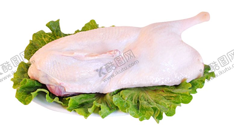 编号：23811410220834211538【酷图网】源文件下载-鸭肉