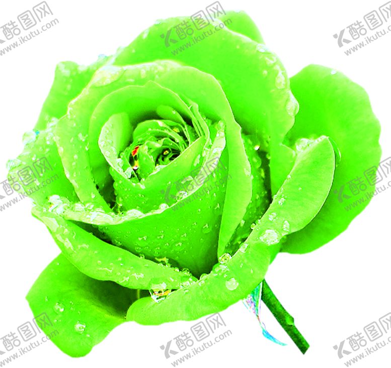 编号：51973409271934277783【酷图网】源文件下载-花素材