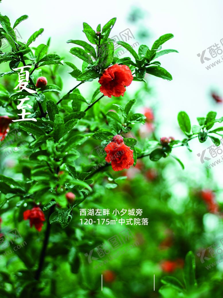 编号：71404506102053021654【酷图网】源文件下载-夏至