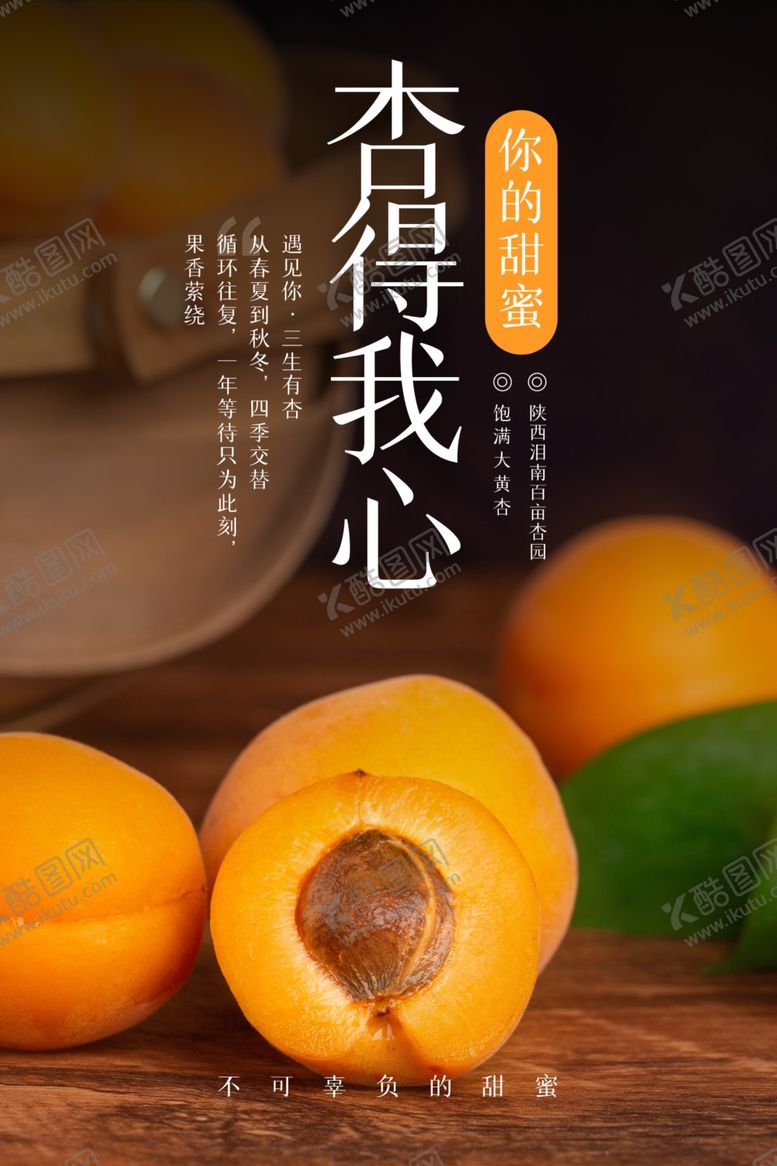 编号：46195101250319087937【酷图网】源文件下载-杏子