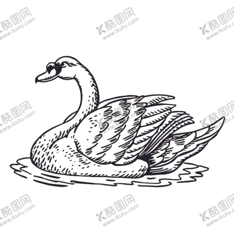 编号：30707509251237289203【酷图网】源文件下载-飞鸟线稿绘画图案