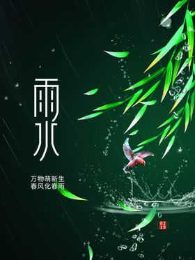 雨水高端节气稿宣传画面飞机稿