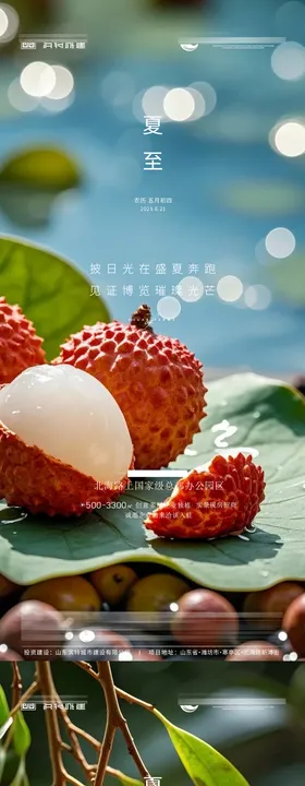 夏至小暑大暑插画清新海报