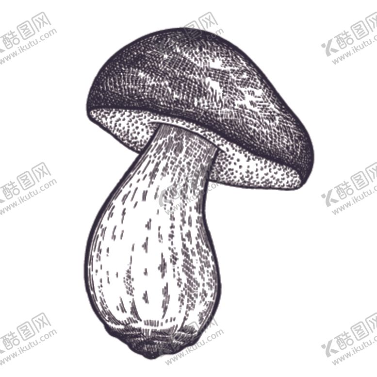 编号：37979609190756475145【酷图网】源文件下载-餐饮食物插画元素