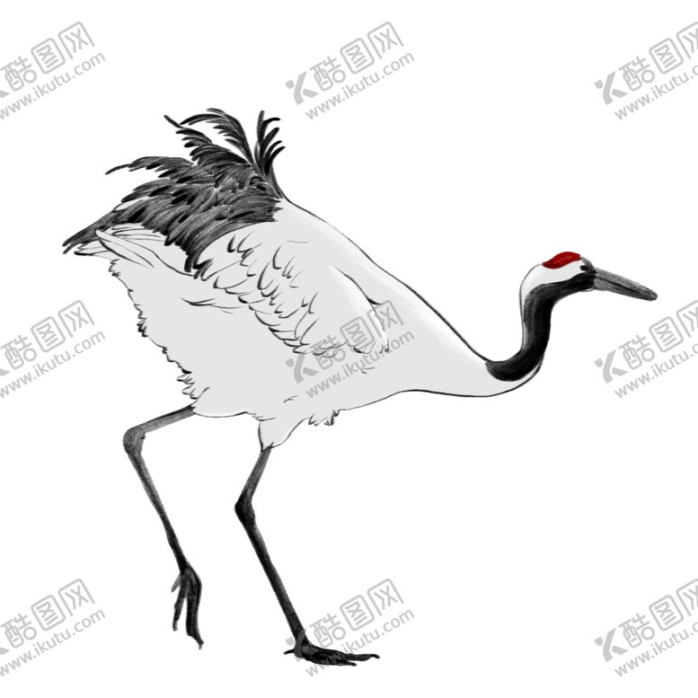 编号：62473010052227232014【酷图网】源文件下载-水墨仙鹤