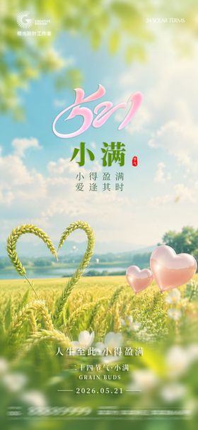 小满521节气宣传海报