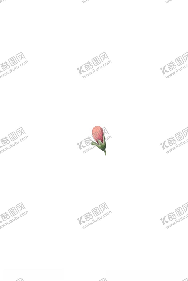 编号：15441007051747071572【酷图网】源文件下载-花蕊