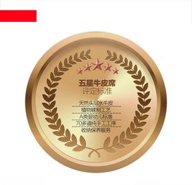 五星标志