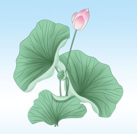 荷花叶手绘元素夏天