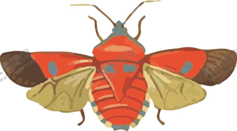 编号：99170610200310331232【酷图网】源文件下载-飞虫昆虫插画