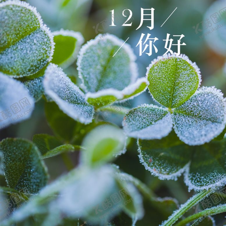 编号：60672709231209214913【酷图网】源文件下载-你好12月