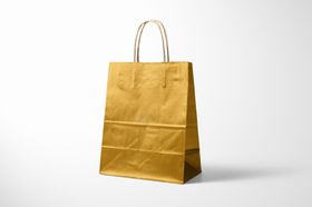 手提袋样机包装VIS纸展示