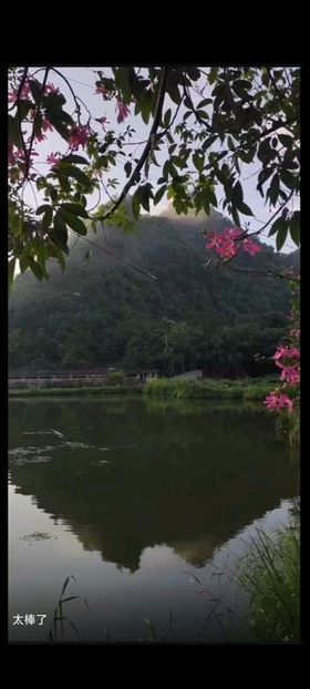 山水相映晨景风光