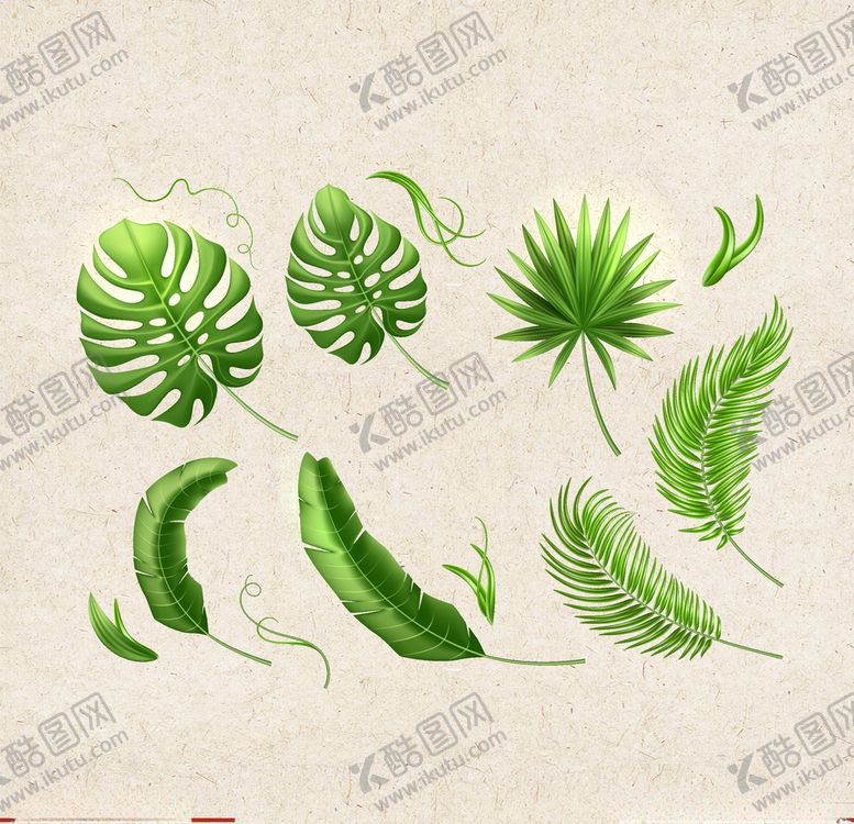 编号：49057710100606195012【酷图网】源文件下载-矢量动物矢量植物插画手绘