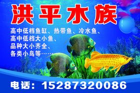 水族观赏鱼红龙鱼网页