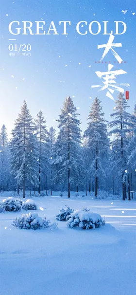 大寒海报