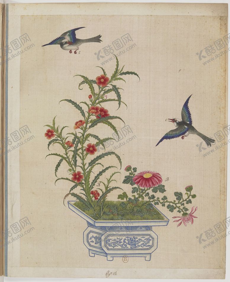 编号：53423204272051376048【酷图网】源文件下载-盆景花鸟