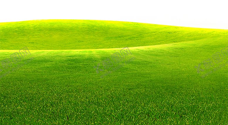编号：98932610110829499139【酷图网】源文件下载-绿色背景