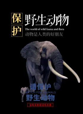 野生救援