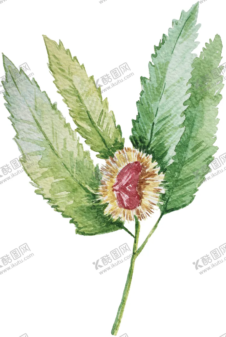 编号：89019506242033526019【酷图网】源文件下载-手绘植物