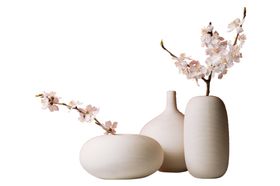 花瓶花朵花枝插花艺术家居装饰