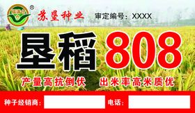 苏垦种业垦稻808