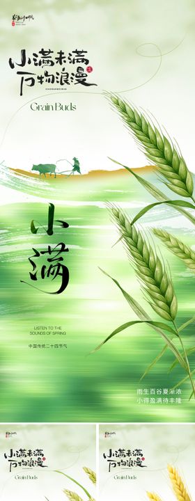 小满节气海报