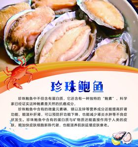 珍珠鲍鱼