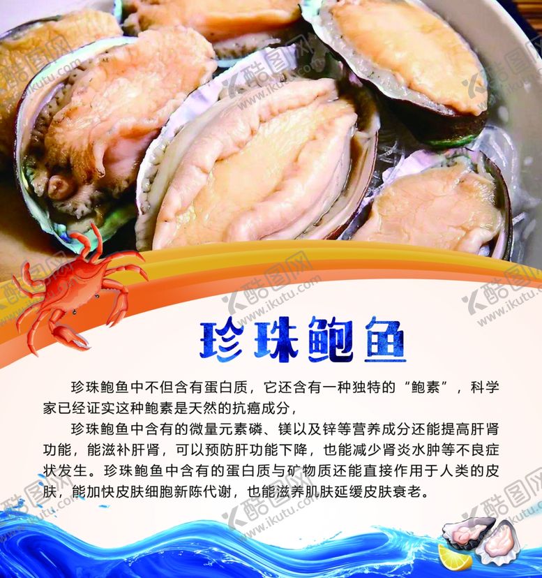 编号：81147509241646257820【酷图网】源文件下载-珍珠鲍鱼