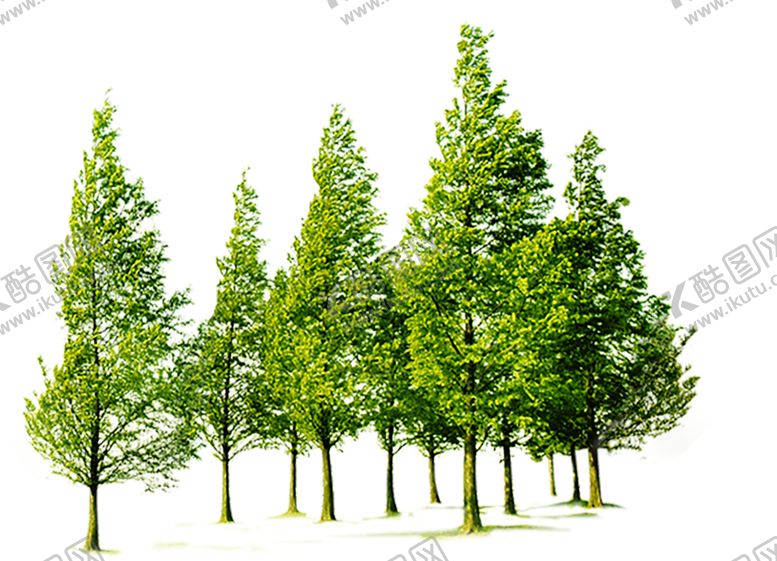 编号：83881607031851328454【酷图网】源文件下载-绿色植物