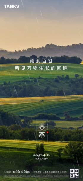 谷雨节气海报